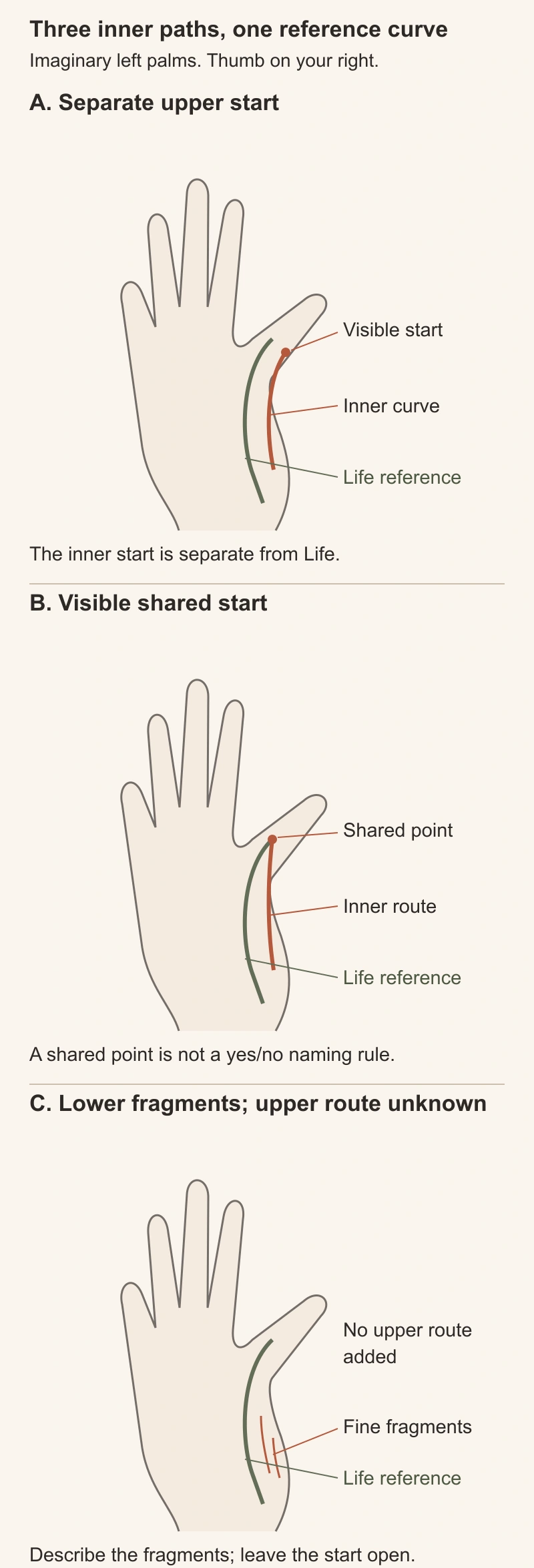 Labelled diagram of three imaginary left-palm maps, thumb on the viewer's right, with an identical sage Life curve. A shows a separate terracotta inner curve starting near the thumb web. B shows an inner curve joined to Life at its upper start. C shows two fine lower thumb-pad fragments whose upper routes are not drawn.